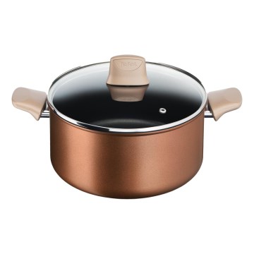 Tefal - Kochtopf mit Deckel RESPECT Ø 24 cm