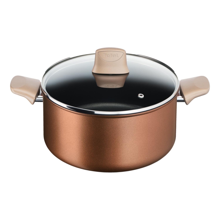 Tefal - Kochtopf mit Deckel RESPECT Ø 24 cm