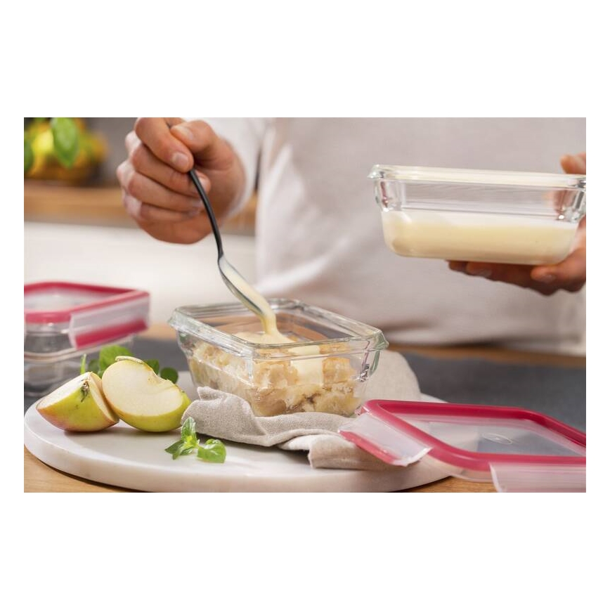 Tefal - Lebensmittelbehälter 0,45 l MSEAL GLASS rot/Glas