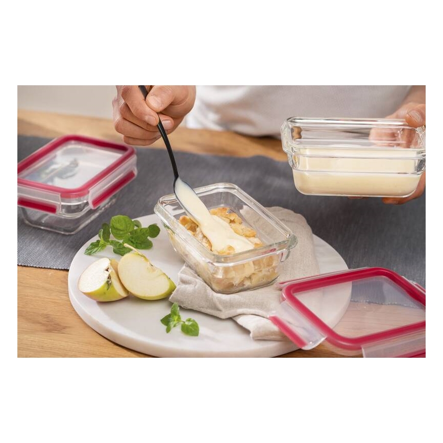 Tefal - Lebensmittelbehälter 1,1 l MSEAL GLASS rot/Glas
