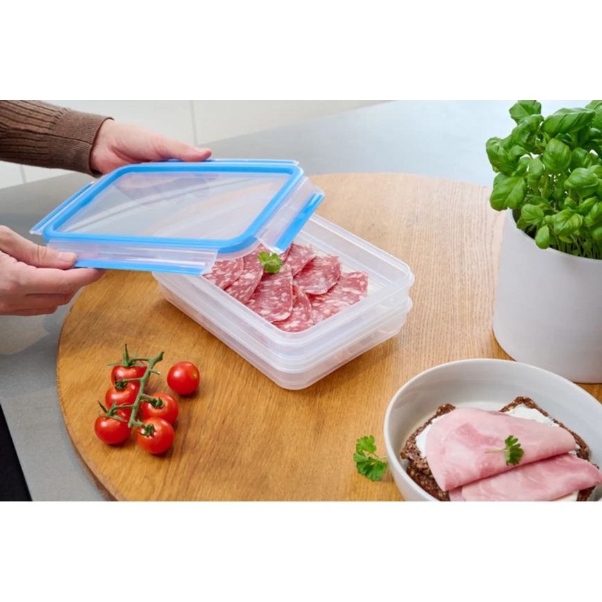 Tefal - Lebensmittelbehälter 2x0,6 l MASTER SEAL FRESH blau