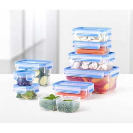 Tefal - Lebensmittelbehälter 2x0,6 l MASTER SEAL FRESH blau