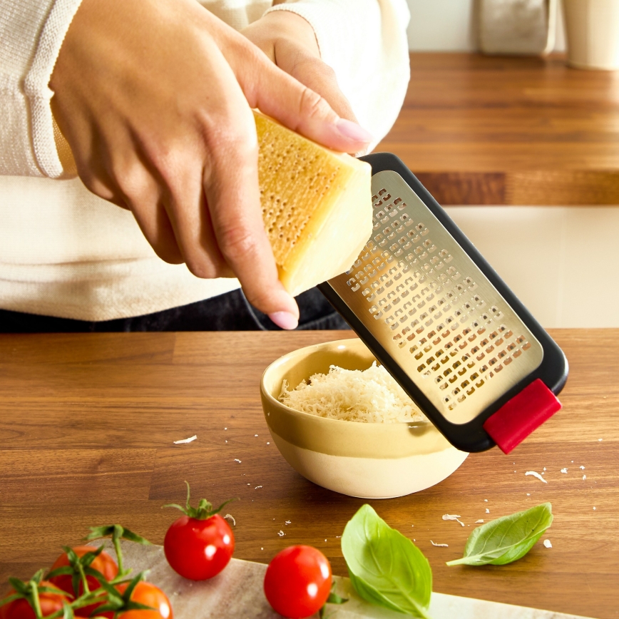 Tefal - Reibe INGENIO
