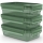 Tefal - SET 3x Lebensmittelbehälter 0,8 l MASTER SEAL ECO grün