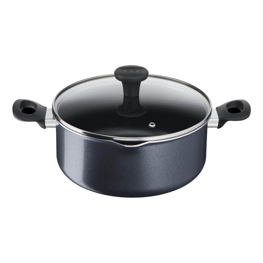 Tefal - Topf mit Deckel FAMILY DAY 24 cm