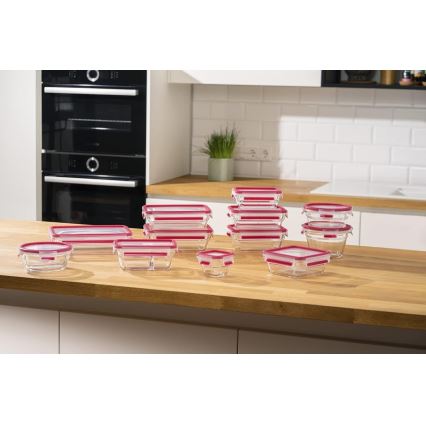 Tefal - Vorratsdose 0,8 l MSEAL GLASS rot/Glas