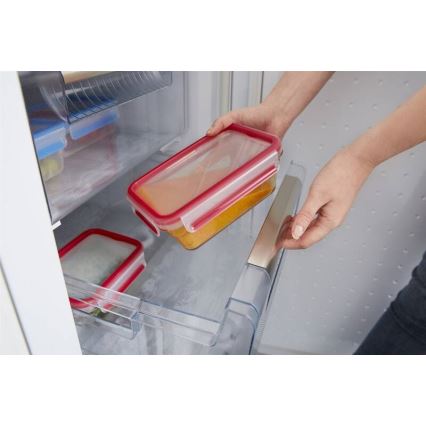 Tefal - Vorratsdose 0,85 l MSEAL GLASS rot/Glas