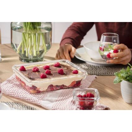 Tefal - Vorratsdose 3 l MSEAL GLASS rot/Glas