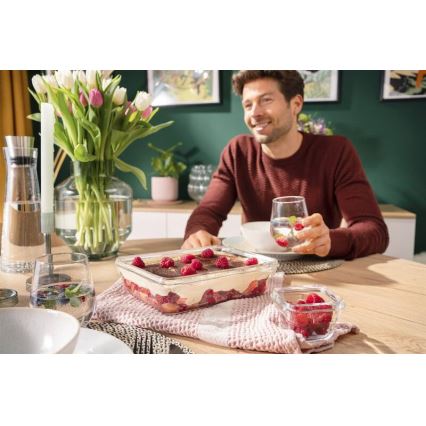 Tefal - Vorratsdose 3 l MSEAL GLASS rot/Glas