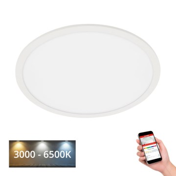 Telefunken 310706TF - Dimmbare LED-RGB-Deckenleuchte LED/24W/230V 3000-6500K Wi-Fi Tuya