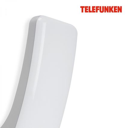Telefunken 311604TF - LED-Wandleuchte für den Außenbereich LED/15W/230V IP44 silbern