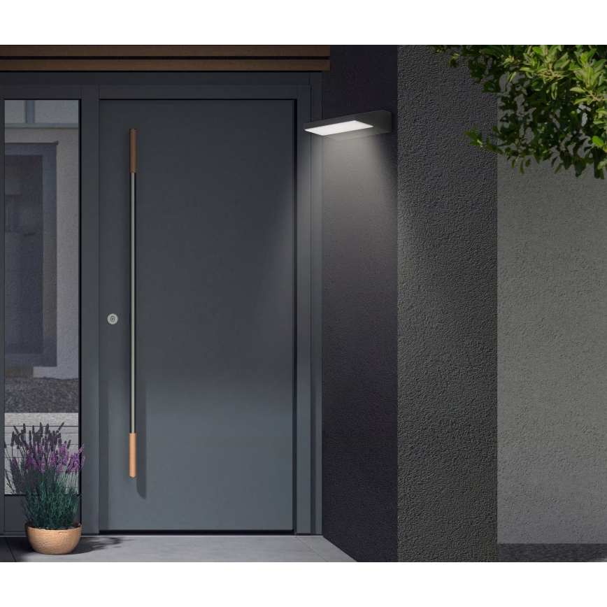 Telefunken - LED Außenwandleuchte LED/10W/230V IP44 schwarz