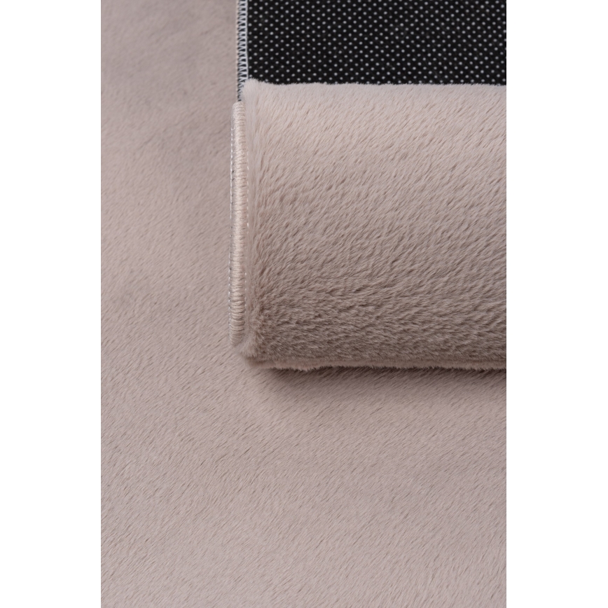 Teppich RABBIT-FOX 160 x 230 cm, Beige