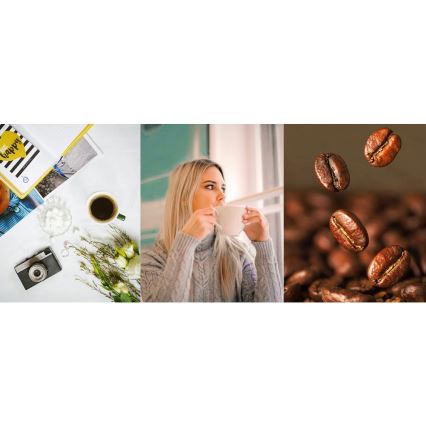 TESLA Electronics - Kaffeemaschine mit Mahlwerk 2in1 900W/230V