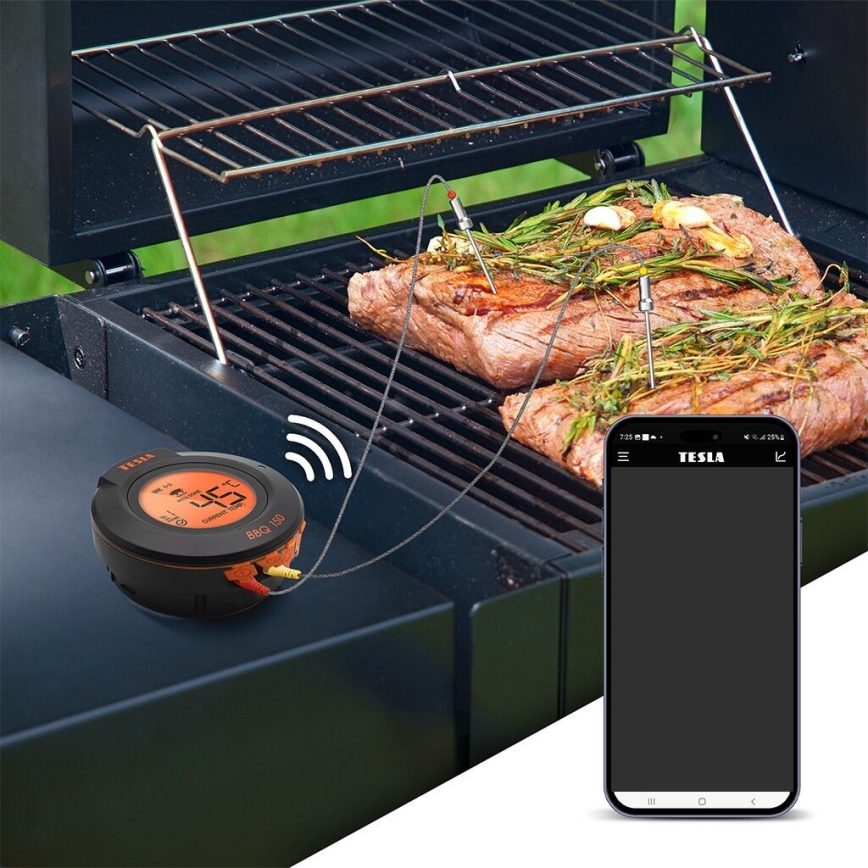 TESLA Electronics Cook - Digitales Fleischthermometer mit Messfühler 0-400 °C 2xAA IP65
