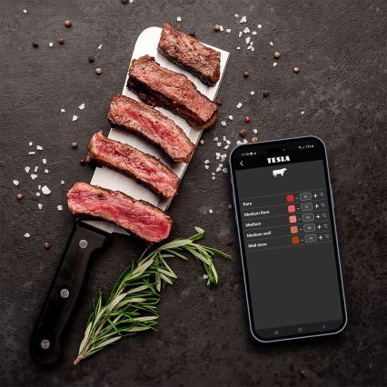 TESLA Electronics Cook - Digitales Fleischthermometer mit Messfühler 0-400 °C 2xAA IP65