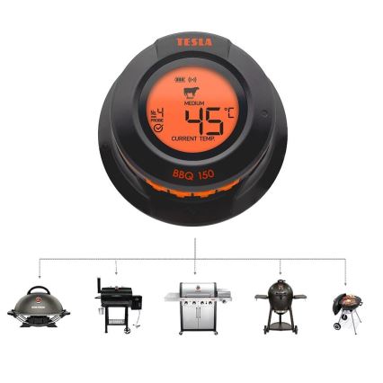 TESLA Electronics Cook - Digitales Fleischthermometer mit Messfühler 0-400 °C 2xAA IP65