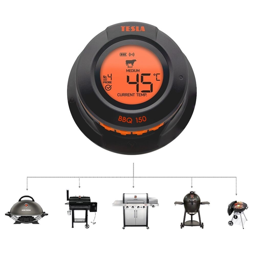 TESLA Electronics Cook - Digitales Fleischthermometer mit Messfühler 0-400 °C 2xAA IP65