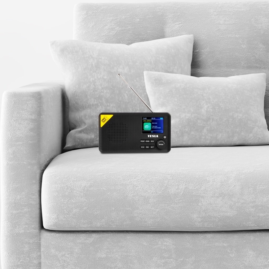 TESLA Electronics - DAB+ FM Radio 5W/4000 mAh Schwarz