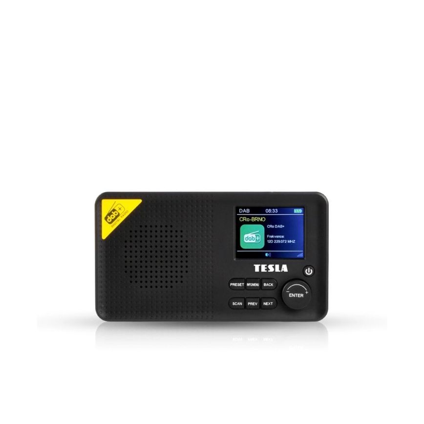 TESLA Electronics - DAB+ FM Radio 5W/4000 mAh Schwarz