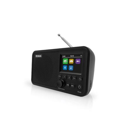 TESLA Electronics - Radio DAB + FM 5W/1800 mAh schwarz