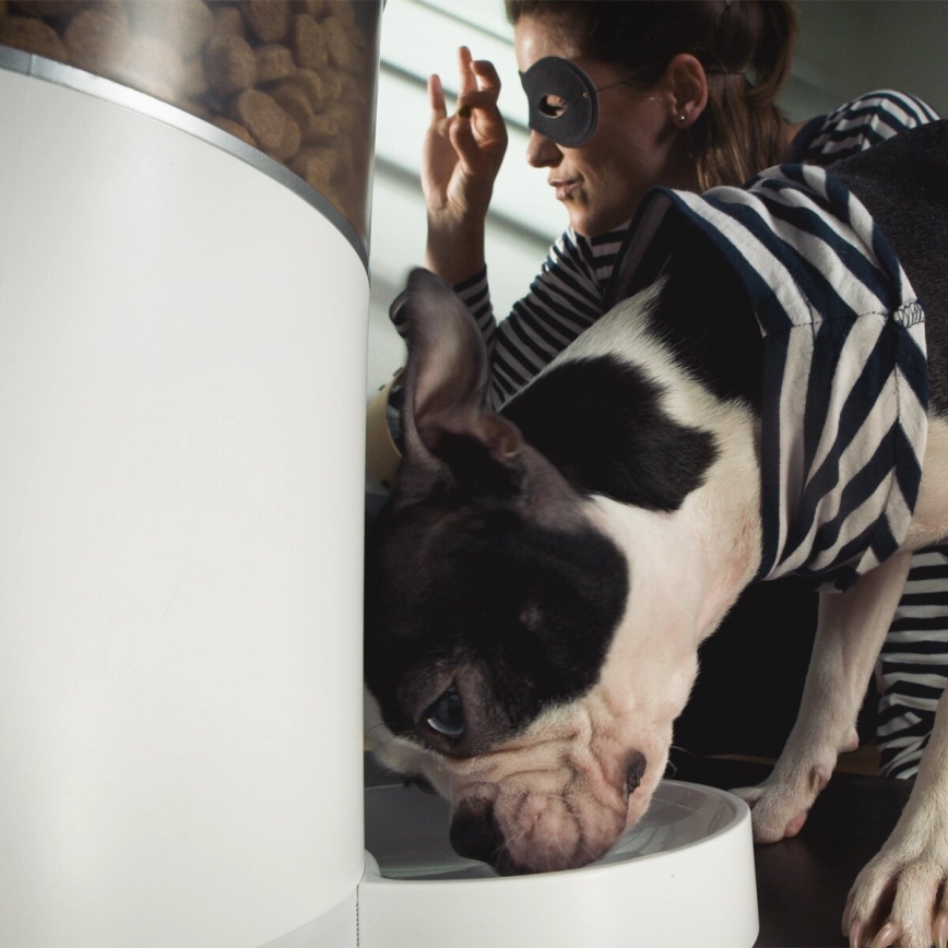 TESLA Smart - Automatischer Smart-Futterautomat für Haustiere 4 l 5V/3xLR20 Wi-Fi