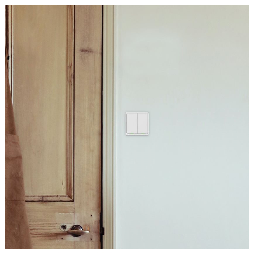 TESLA Smart - Intelligenter Haus-Schalter 2P 230V Wi-Fi