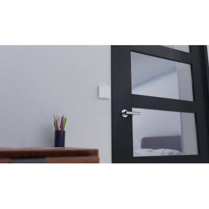 TESLA Smart - Intelligenter Haus-Schalter 2P 230V Wi-Fi