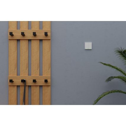 TESLA Smart - Intelligenter Haus-Schalter 2P 230V Wi-Fi