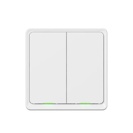TESLA Smart - Intelligenter Haus-Schalter 2P 230V Wi-Fi
