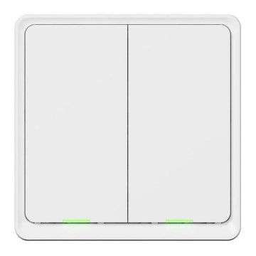TESLA Smart - Intelligenter Haus-Schalter 2P 230V Wi-Fi