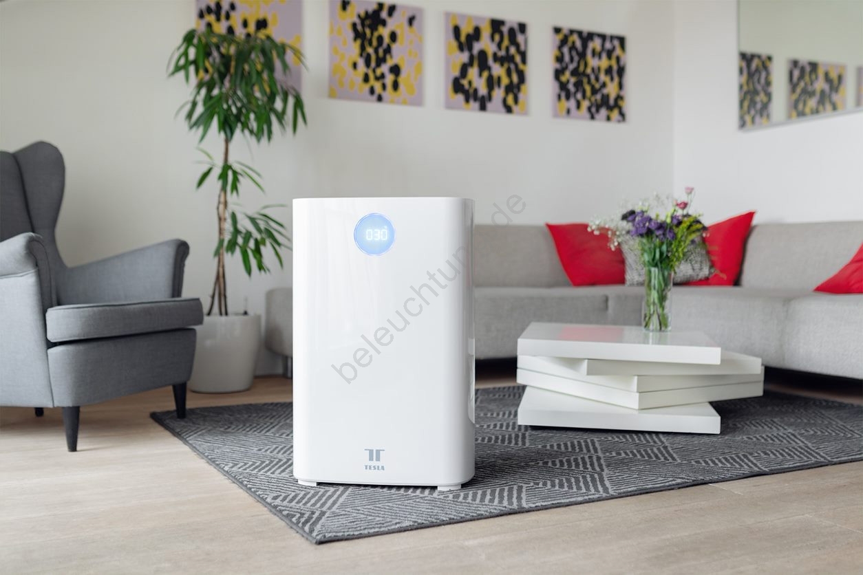 Tesla smart air purifier pro m discount