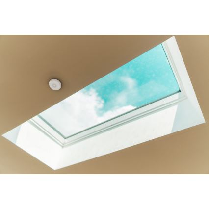 TESLA Smart - Intelligenter Rauchsensor 1xCR123A Zigbee