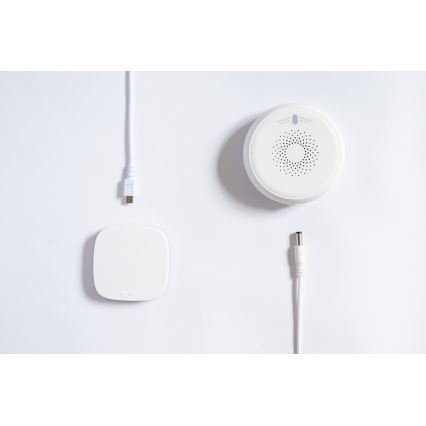 TESLA Smart - Intelligenter Rauchsensor 1xCR123A Zigbee