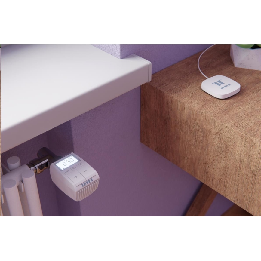 TESLA Smart - SET 3x Intelligenter kabelloser Thermostatkopf + Smart Gateway Hub Zigbee Wi-Fi