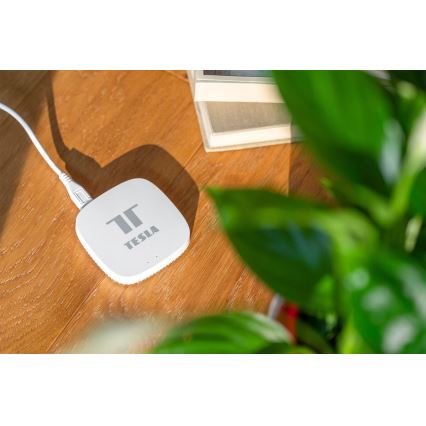 TESLA Smart - Smart gateway Hub Smart Zigbee Wi-Fi