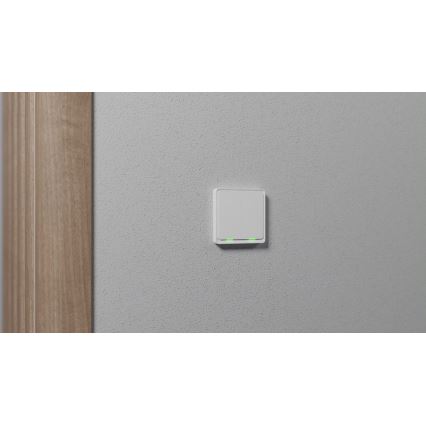 TESLA Smart - Smart Home Schalter 2P 230V Zigbee