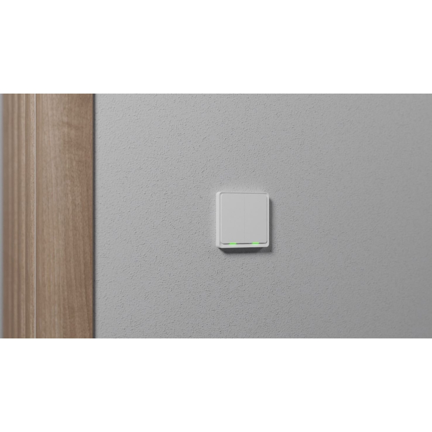 TESLA Smart - Smart Home Schalter 2P 230V Zigbee