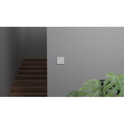 TESLA Smart - Smart Home Schalter 2P 230V Zigbee