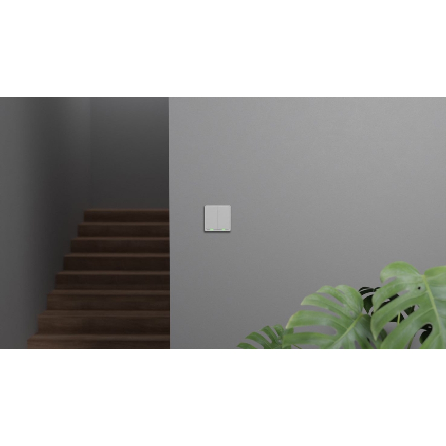 TESLA Smart - Smart Home Schalter 2P 230V Zigbee