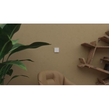 TESLA Smart - Smart Wireless Home Schalter 2P 1xCR2430 ZigBee