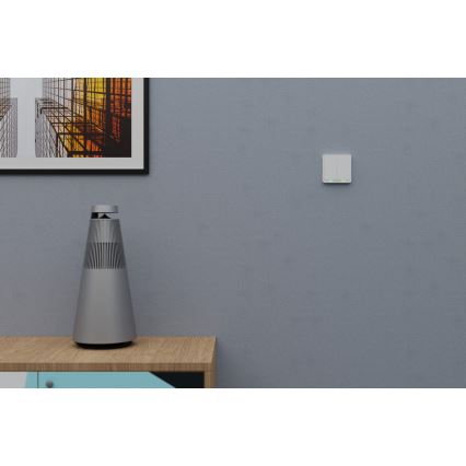 TESLA Smart - Smart Wireless Home Schalter 2P 1xCR2430 ZigBee