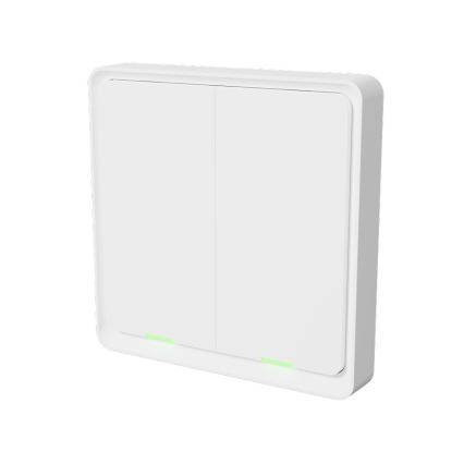 TESLA Smart - Smart Wireless Home Schalter 2P 1xCR2430 ZigBee