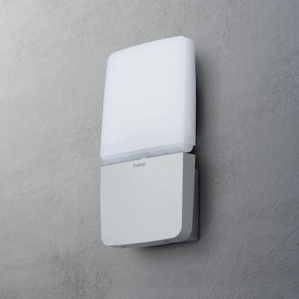 theben - LED-Wandstrahler LED/11W/230V silber IP55
