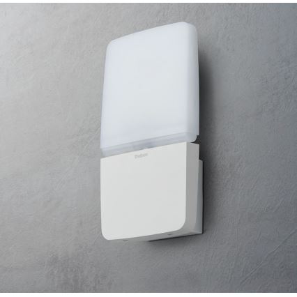 theben - LED-Wandstrahler LED/11W/230V weiß IP55