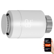 Thermostat-Kopf Wi-Fi ZigBee 2xAA/3V Tuya