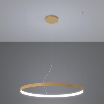 Thoro TH.181 - LED-Hängeleuchte RIO LED /50W/230V CRI 95 4000K d 78 cm golden