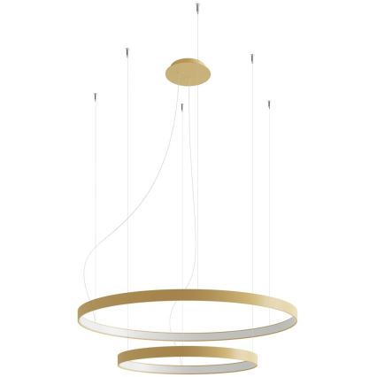 Thoro TH.214 - LED-Hängeleuchte RIO LED/80W/230V CRI 90 3000K golden