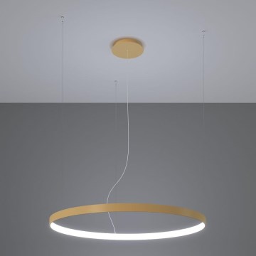 Thoro TH.217 - LED-Hängeleuchte RIO LED/30W/230V CRI 95 4000K d 55 cm golden