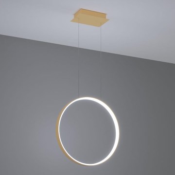 Thoro TH.221 - LED-Hängeleuchte RIO LED/30W/230V CRI 95 4000K d 55 cm golden